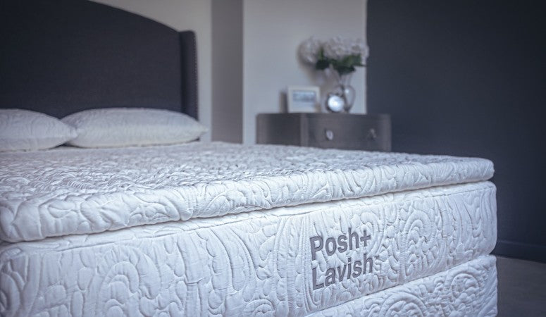 Posh + Lavish Release Plush Pillowtop at Real Deal Sleep